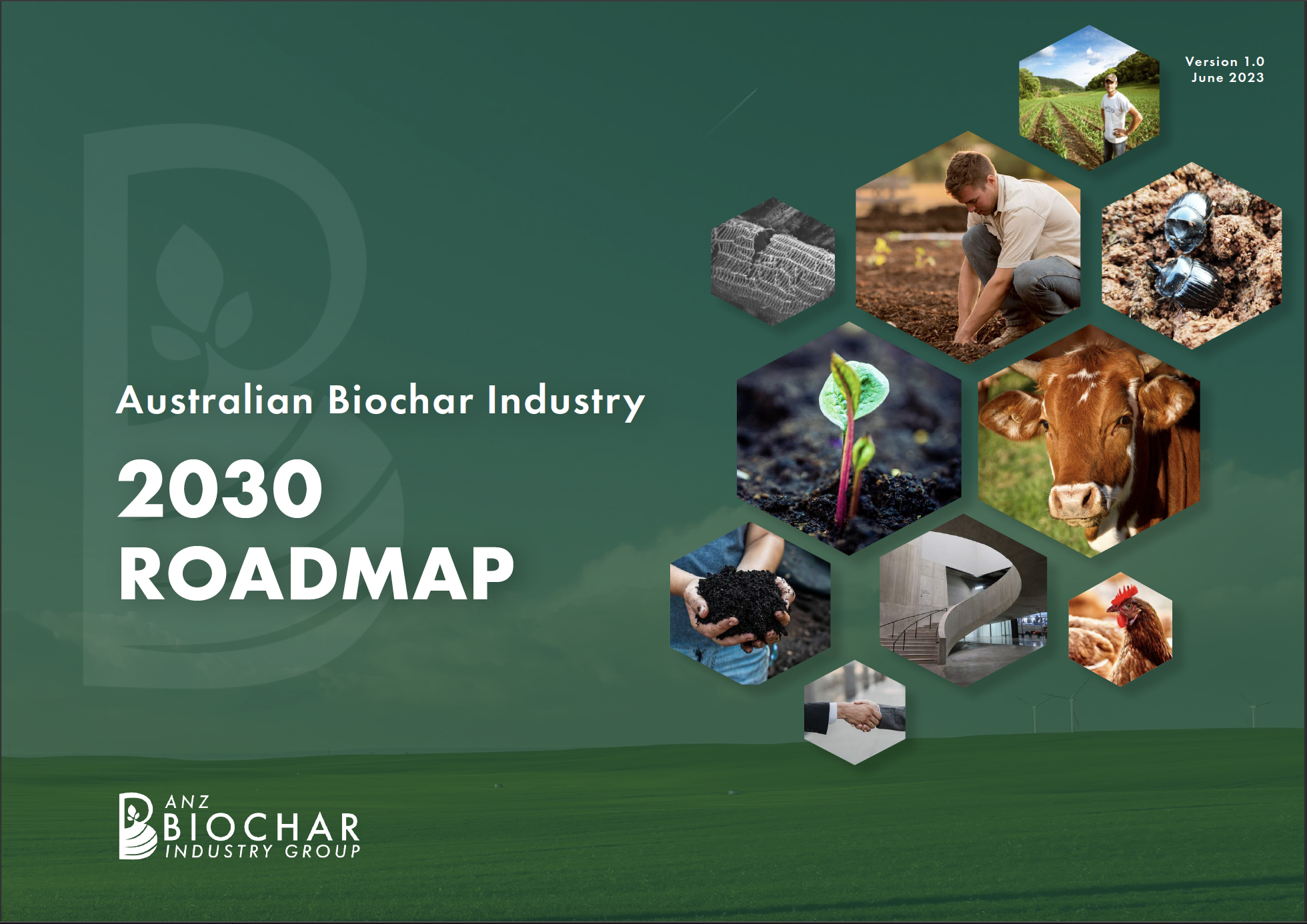 Stewardship Integrated Throughout Biochar Industry Roadmap